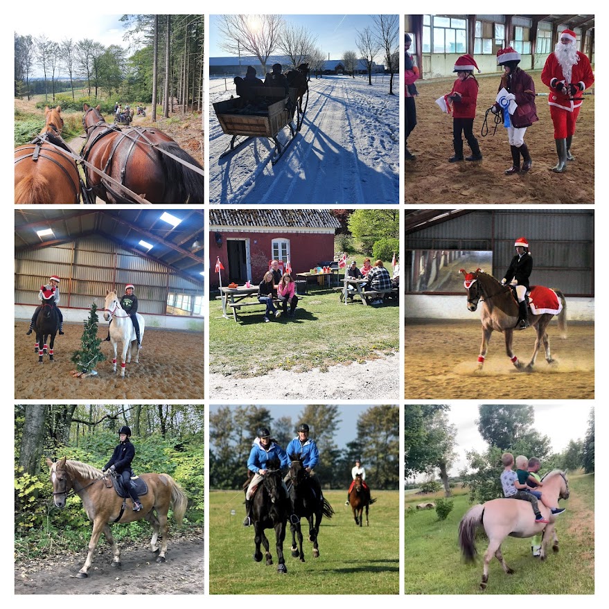 Collage med aktiviteter på Holtegaard