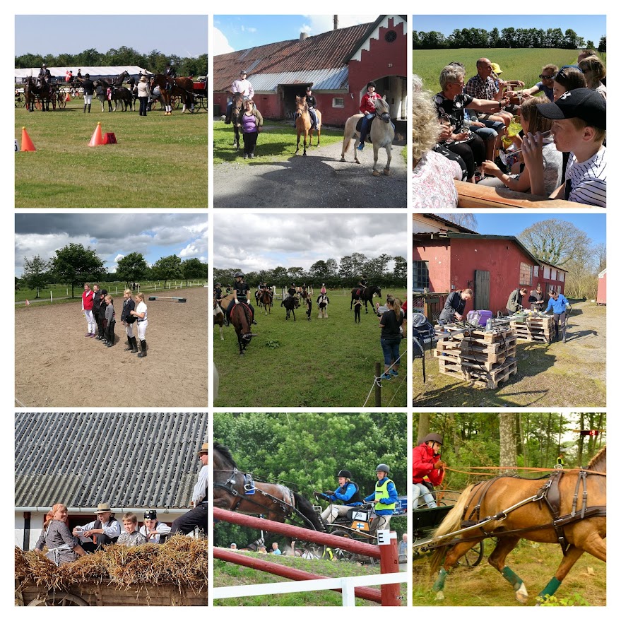 Collage aktiviteter på Holtegaard